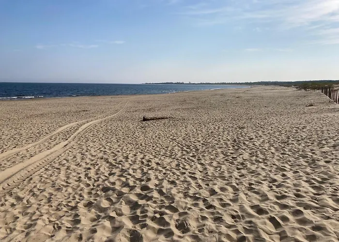 Sunny Sobieszewo Lejlighed Gdańsk